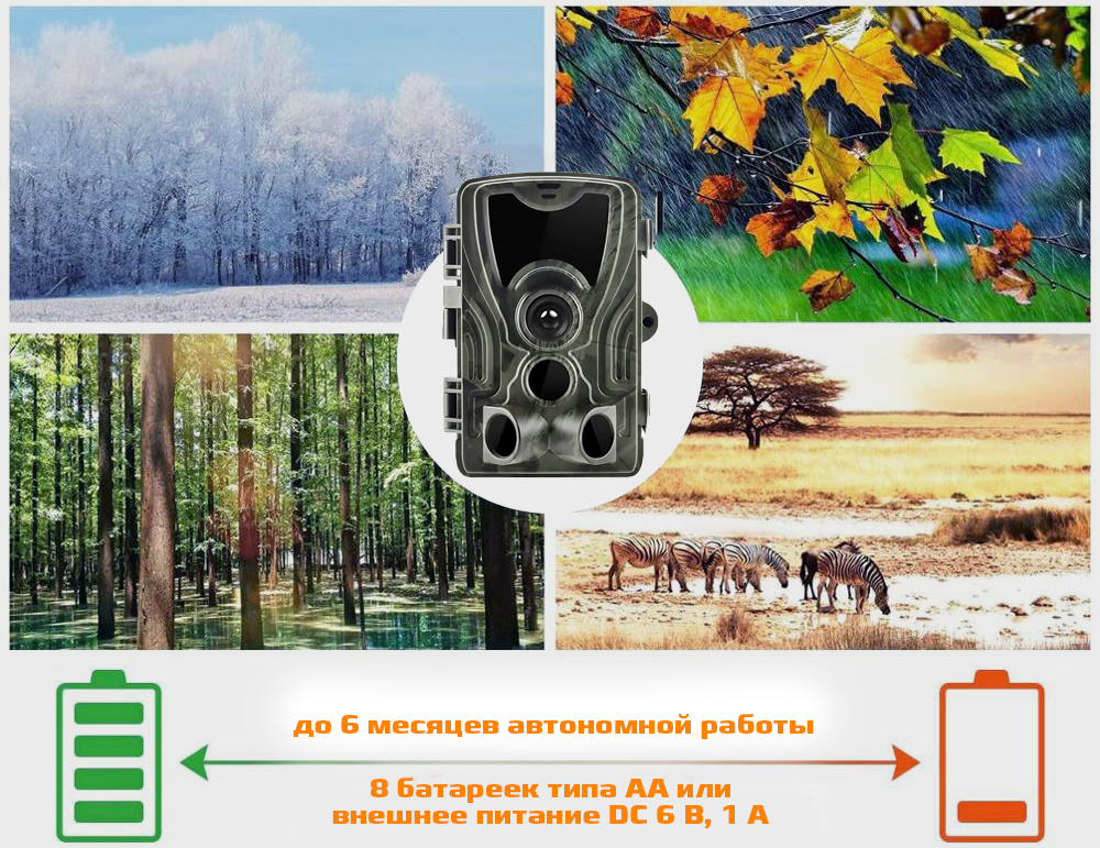 801Аavtonomnyraboty.jpg