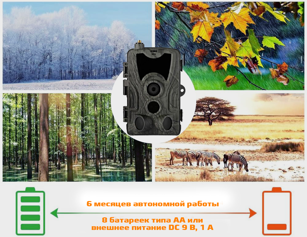 801Mavtonomnyraboty.jpg